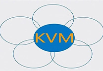  玩转KVM：怎么追查KVM故障