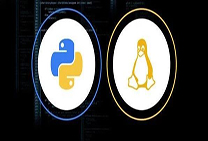  如何使用python远程操作linux